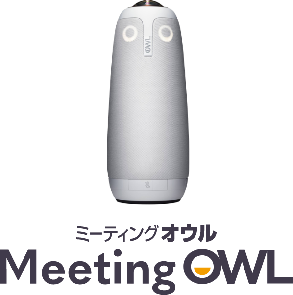 Meeting OWL